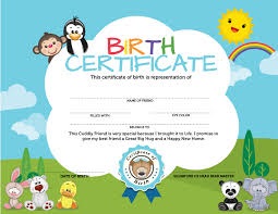 Birth Certificate 2