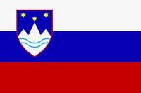 перевод на словенский язык