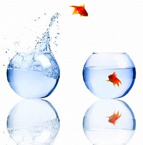 получение дубликата